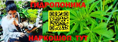 ALPHA PVP Пенза