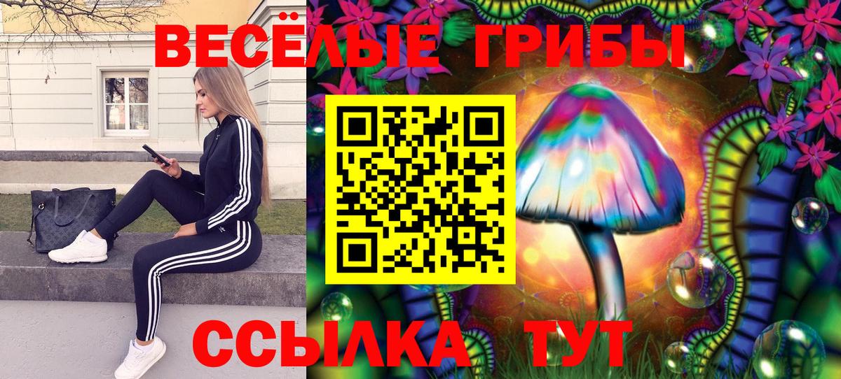Галлюциногенные грибы прущие грибы Славянск-на-Кубани